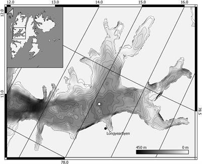 Contrasting Life Traits of Sympatric Calanus glacialis and C. finmarchicus in a Warming Arctic Revealed by a Year-Round Study in Isfjorden, Svalbard